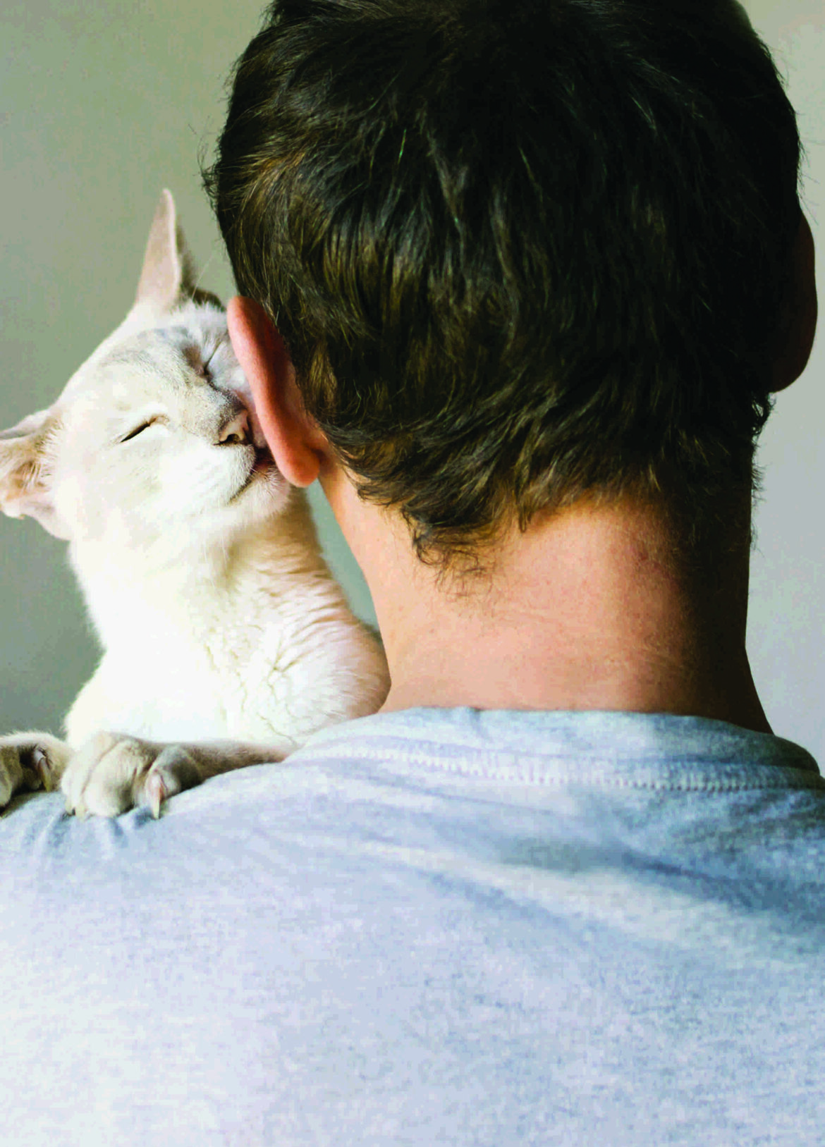LES-CHATS-CREENT-EUX-AUSSI-DES-LIENS-SOLIDES-AVEC-LES-HUMAINS