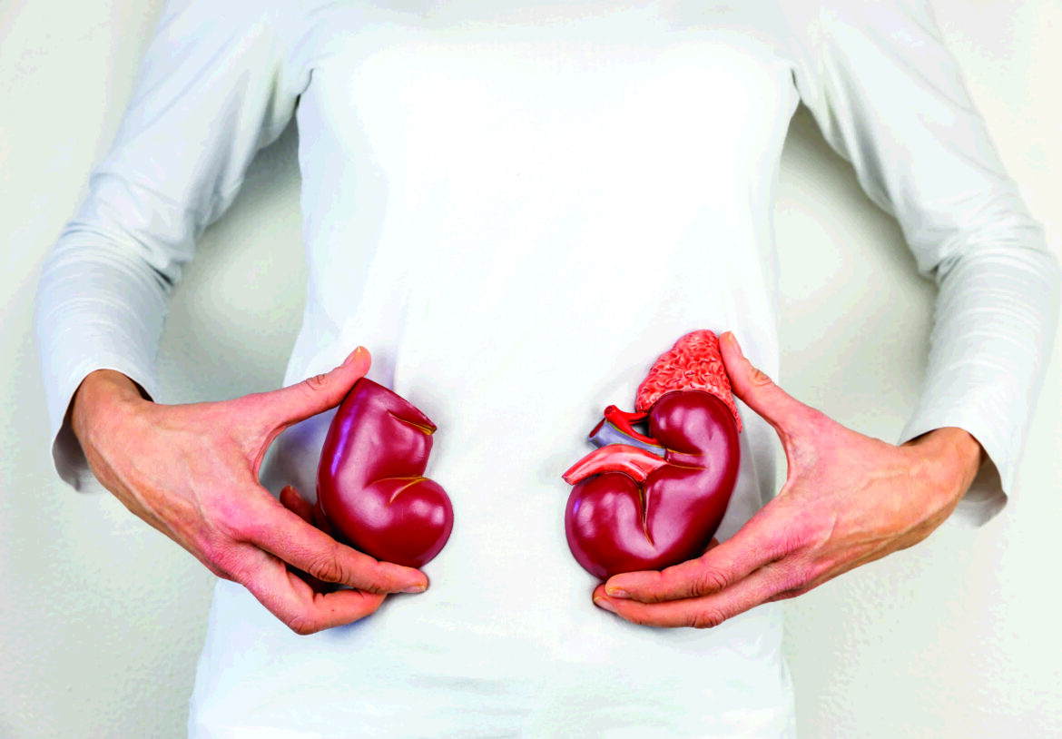 REINS : QUE FAISONS-NOUS ?