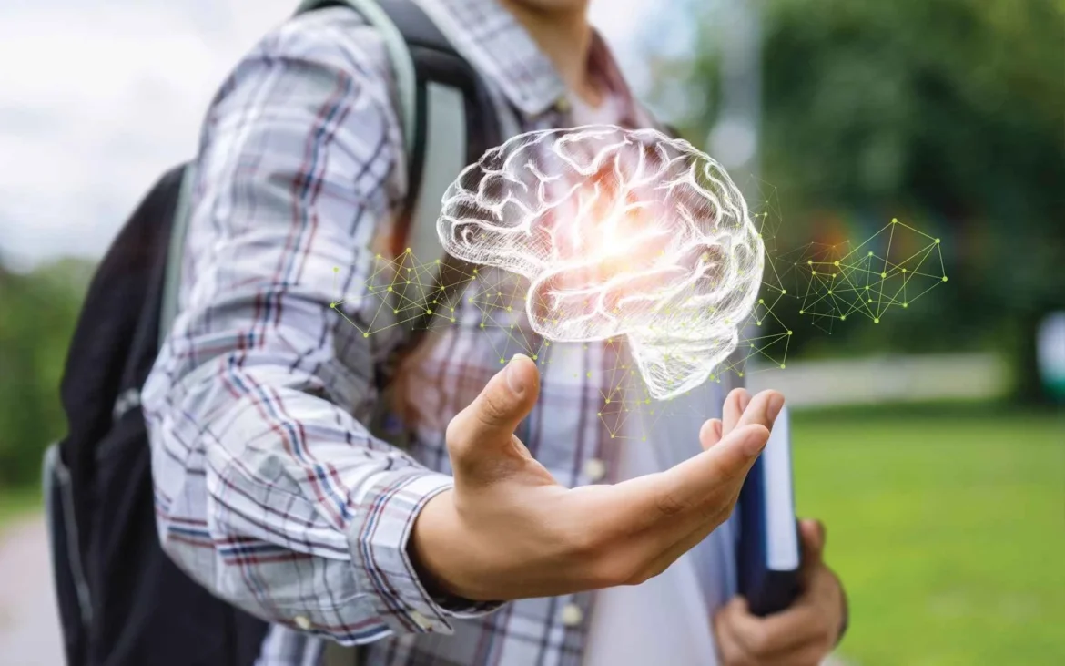 DÉVELOPPEMENT DU CERVEAU AU COURS DE L'ADOLESCENCE