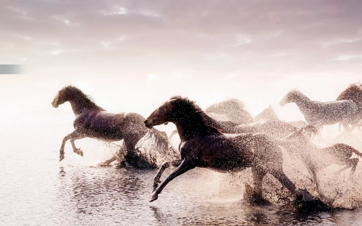 LES LENDEMAINS DE NOS RÊVES