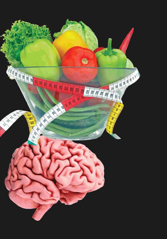 Les restrictions alimentaires ralentissent le vieillissement cérébral et prolongent la durée de vie