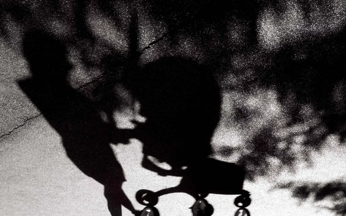 LES VOIX ET LES MONSTRES